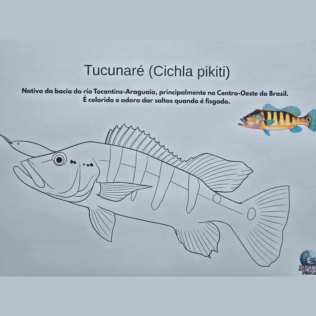 Tucunaré (Cichla pikiti)