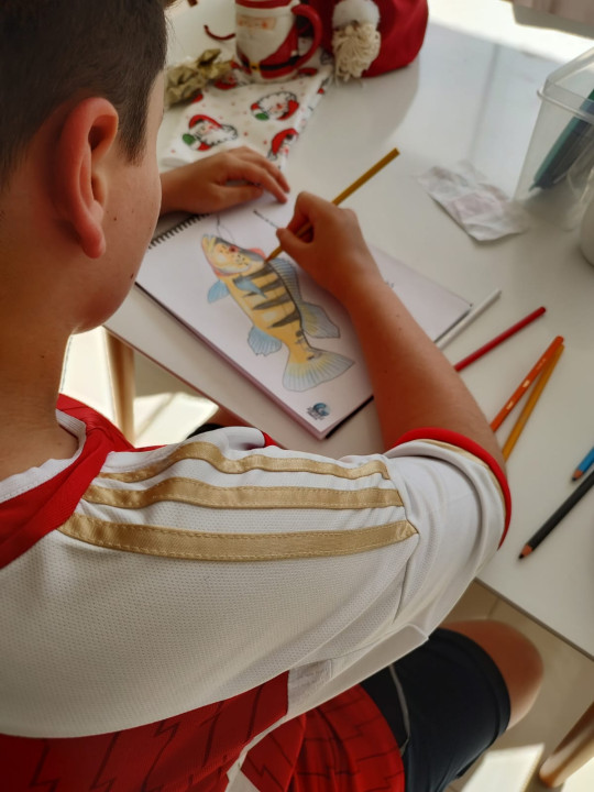 Criança colorindo peixe no caderno