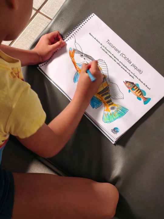 Criança colorindo o caderno de peixes